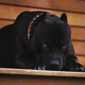 Meet your Posher, Fredy